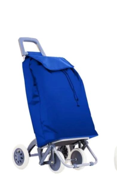 Chariot de courses de marché à 2×2 roues
